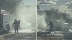 Bees swarm Arizona family during photo shoot, sting mother more than 75 times as she protects kids