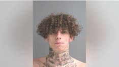 Man allegedly steals car, crashes into Florida building while looking for internet connection: police