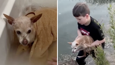 Texas family rescues tiny 19-year-old dog from pond, returns her to owner within hours