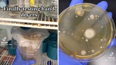 Woman's viral TikTok reveals how much bacteria live in public bathroom hand dryers: 'Trigger warning'