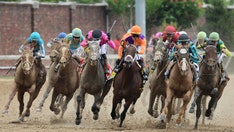 PETA calls Churchill Downs a 'killing field' after 7 horses die at track leading up to Kentucky Derby