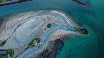 Harbor resembles DOLPHIN