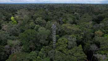 Brazil builds carbon dioxide emitting towers in Amazon to simulate climate change