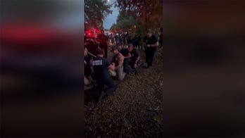 Florida veteran and MMA fighter wrangles 10-foot alligator near elementary school: video