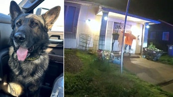 SEE IT: New Jersey 'neighbors from hell' allegedly try to run over police officers with car, injuring K9