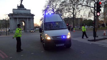 Buckingham Palace on lockdown after man arrested for throwing shotgun cartridges onto grounds