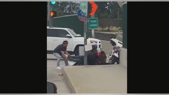 Good Samaritans fight off irate man attacking highway patrol cop