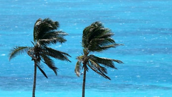 Scientist claims to have answer to mystery of notorious Bermuda Triangle