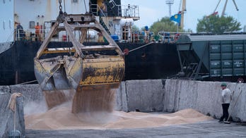 Russia agrees to extend Ukraine grain deal to boost global food security