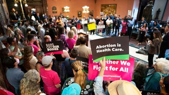 South Carolina Dems disrupts 'heartbeat' abortion law in marathon hearing, claim to 'celebrate life'