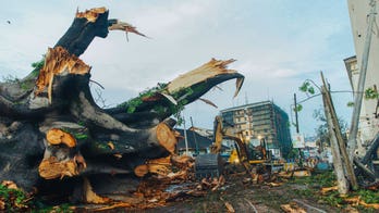 Centuries-old cotton tree, national symbol for decades, felled by storm in Sierra Leone