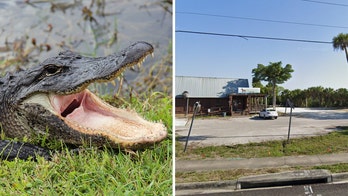 Florida man who lost arm in alligator attack behind a bar now in 'fair' condition, hospital confirms