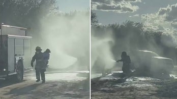 Bees swarm Arizona family during photo shoot, sting mother more than 75 times as she protects kids