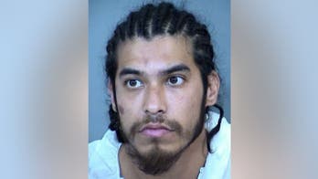 Arizona domestic violence suspect allegedly assaults Phoenix police officer: 'My rage just came out'