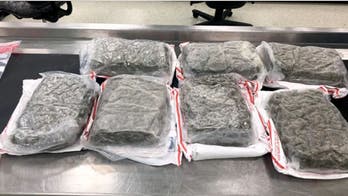 Philadelphia CBP officers intercept air fryer filled with nearly 8 pounds of marijuana