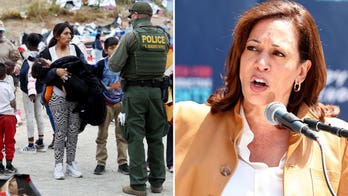 'Border czar' Harris downplays migrant crisis during Georgia fundraising trip: 'Going rather smoothly'