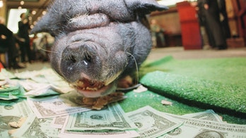 Who won top awards for 'corrupt, costly' wasteful spending amid debt ceiling fight? It's not who you expect