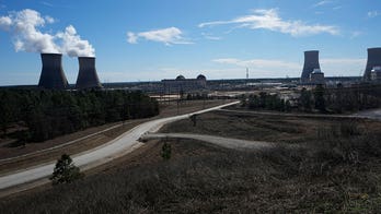 Georgia nuclear plant's 4th reactor one step closer to generating electricity