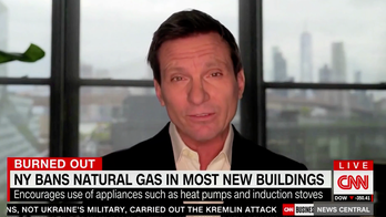 Gas stoves 'cooking' the planet claims climate reporter in response to New York's 'bold' ban