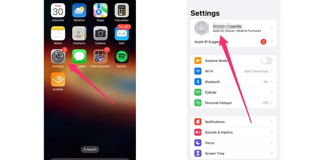 Screenshot of the Apple home screen and settings screen.