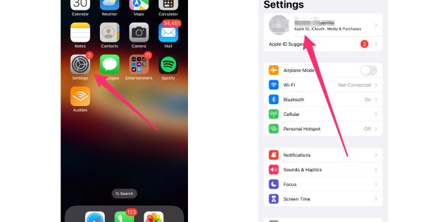لقطة شاشة لشاشة Apple الرئيسية وشاشة الإعدادات.