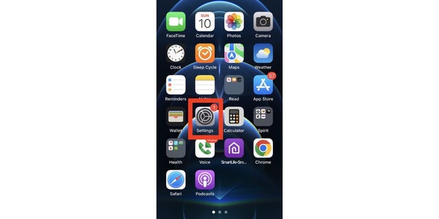 Screenshot of the iPhone home screen.