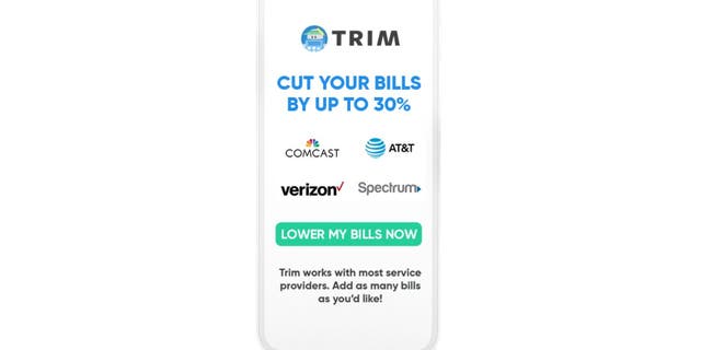 Trim logo on phone screen