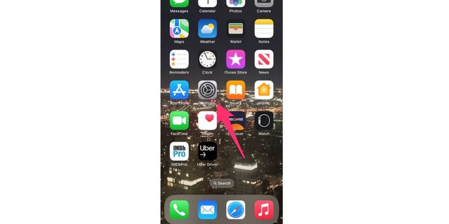Screenshot of the home screen on an iPhone.