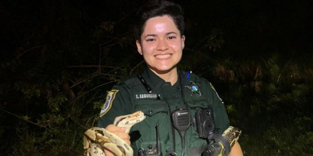 Florida deputy rescues escaped 6-foot boa constrictor on street