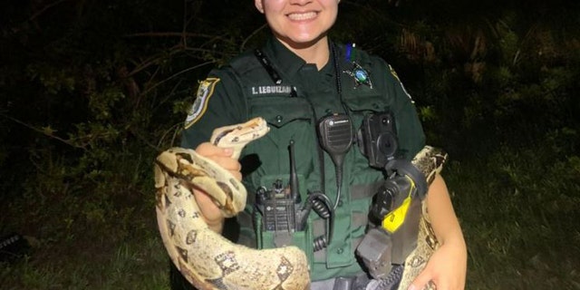 Deputy holding boa constrictor