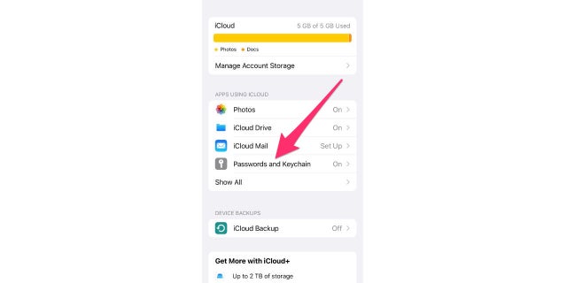 icloud keychain settings