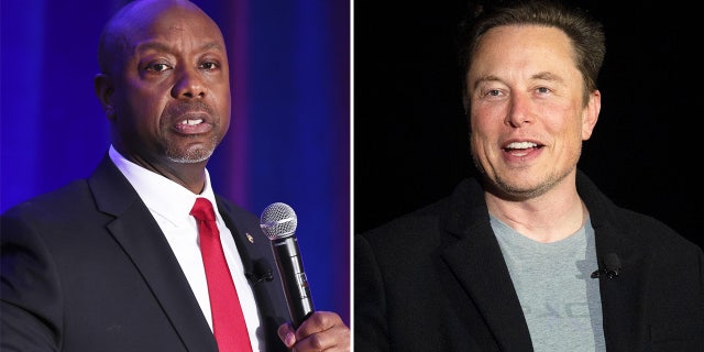 Tim Scott, Elon Musk