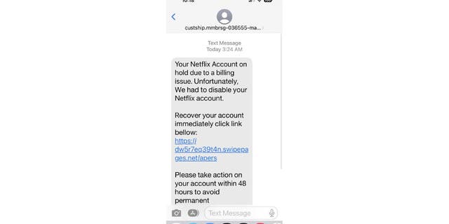 Screenshot of a scammer texting as Netflix.