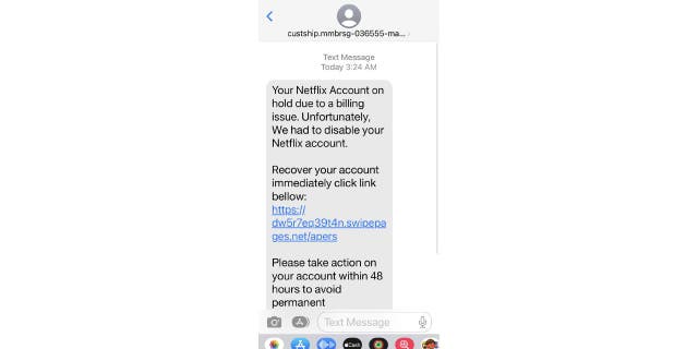 Screenshot of a scammer texting as Netflix.