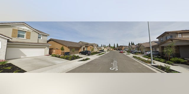 Tracy-California-Sunflower-lane-street-view