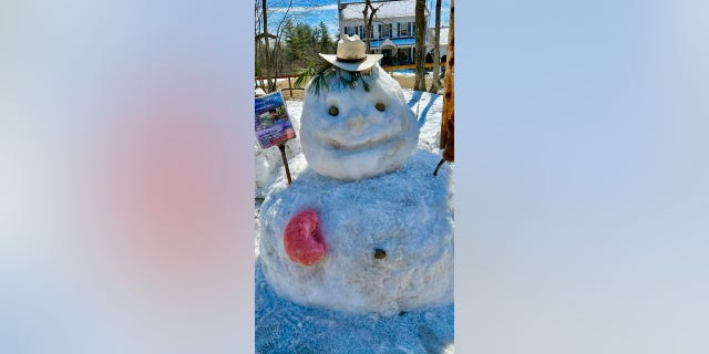 snowman kidney donation