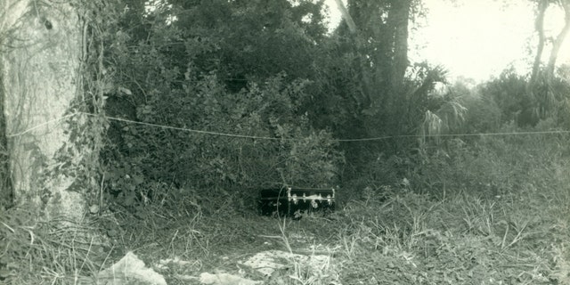 The black wooden trunk where Atherton's remains were found photographed in a wooded area