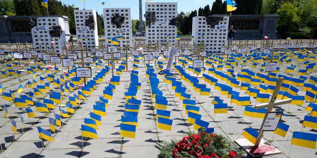 Ukraine flags