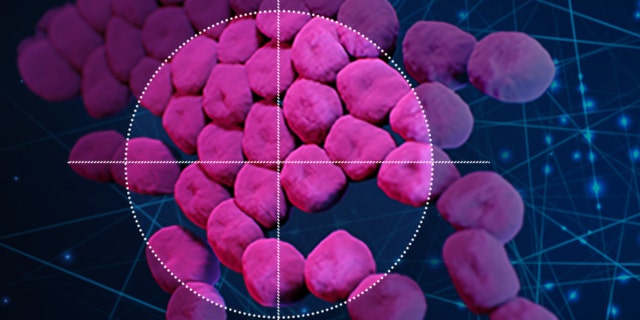 Acinetobacter baumannii