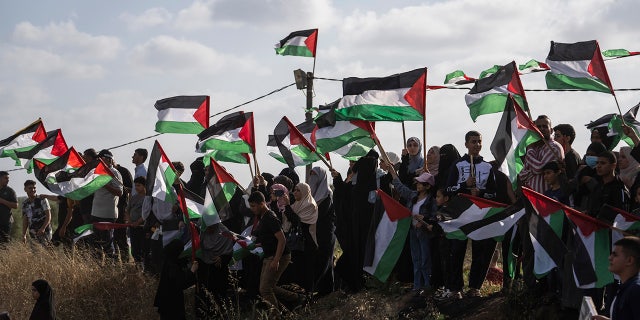 Palestinians protesting with Palestinian flags