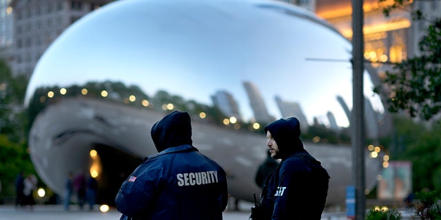 The Chicago Bean