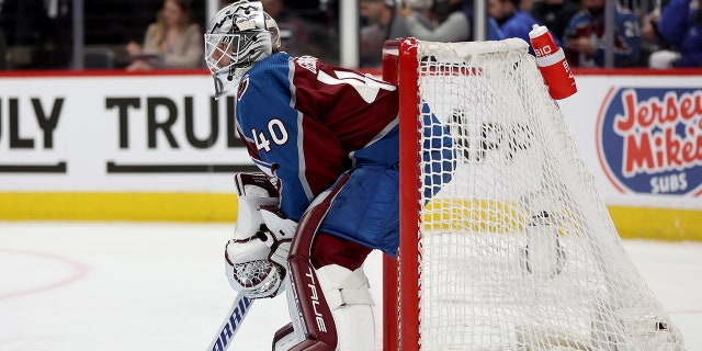 Alexandar Georgiev in net