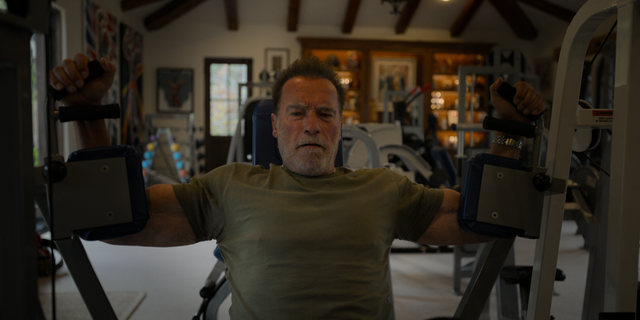 Arnold Schwarzenegger