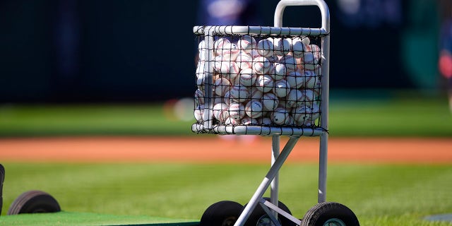 Baseballs in basket