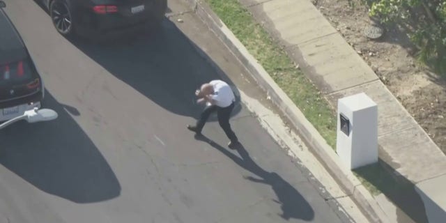 bees swarming man in street