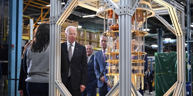 Biden looking at a computer