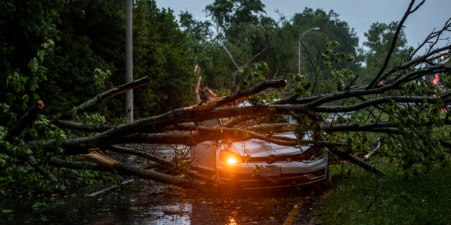 A vehicle is crushed by a fallen tree in Virginia Beach