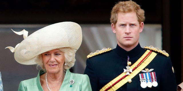 Queen Camilla and Prince Harry in 2015