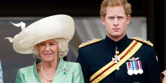 Queen Camilla and Prince Harry in 2015