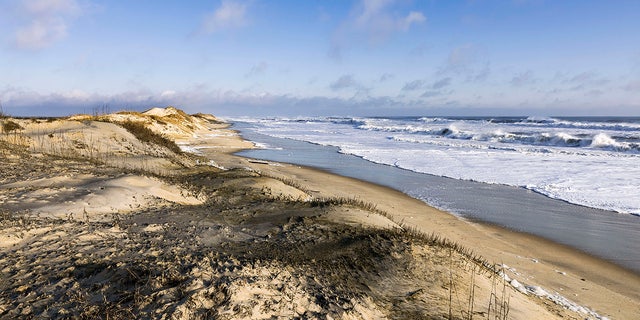 Dunes and ocean at Cape Hatteras National Seashore